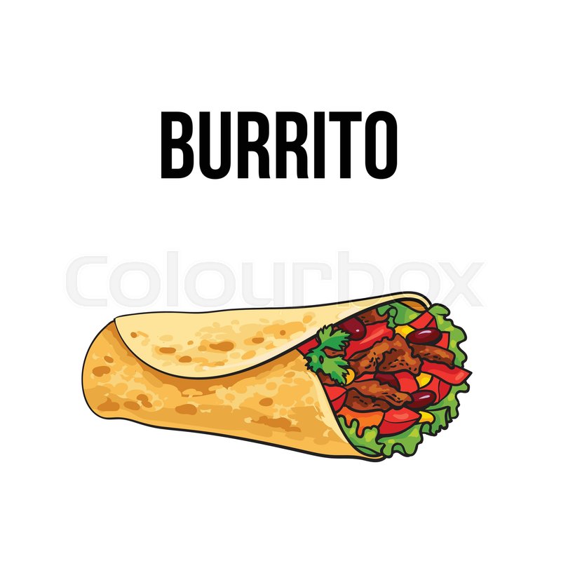 800x800 burrito, traditional mexican food, stock vector colourbox - Burrito Drawing