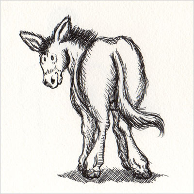 400x400 Donkey Sketch Burro Drawing Best Of Best Burro Art Images - Burro Drawing