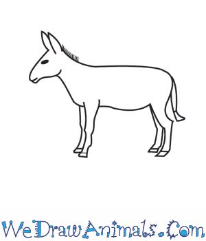 300x350 How To Draw A Donkey - Burro Drawing