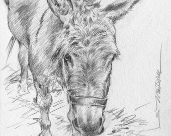 340x270 Burro Drawing Etsy - Burro Drawing