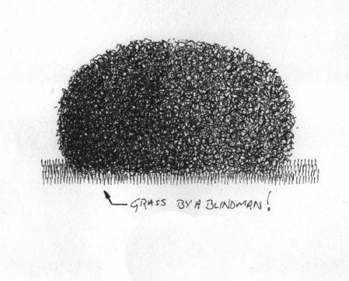 500x403 foliage tutorial - Bush Drawing