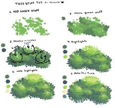232x217 Image Result For How To Draw A Bush Step - Bush Drawing