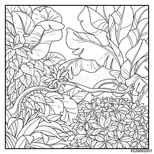 500x500 jungle with big bush in the foreground black contour line drawing - Bush Drawing