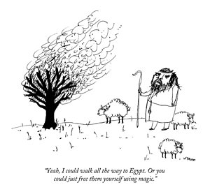 300x278 moses talks to the burning bush drawing - Bush Drawing