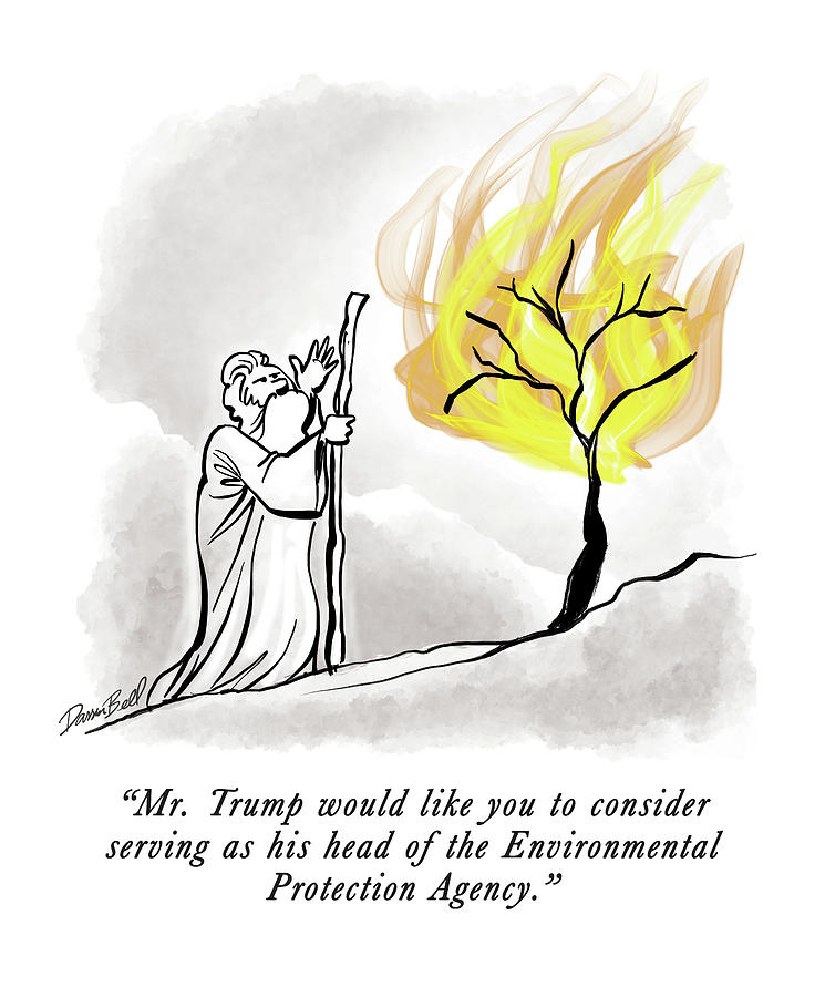 745x900 The Burning Bush Drawing - Bush Drawing