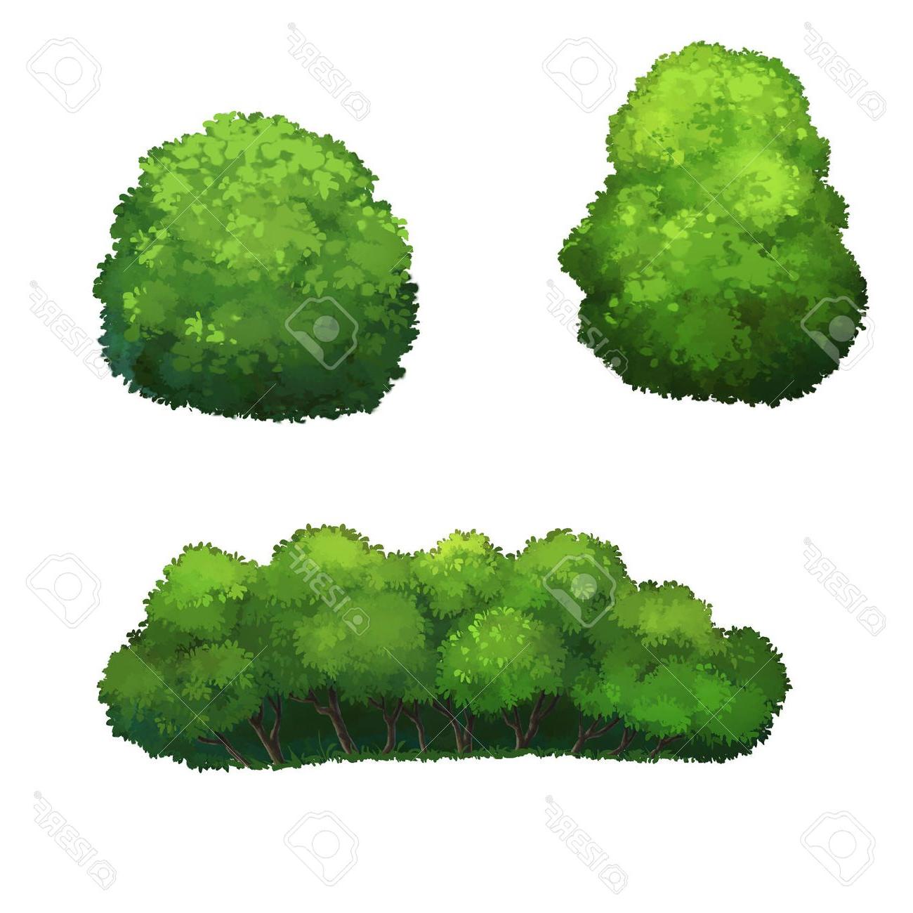 Bushes Drawing