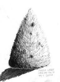 193x261 Realistic Bush Drawing - Bush Drawing