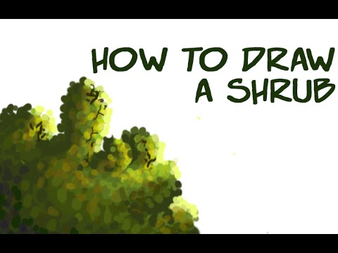 480x360 Art Tutorial How To Draw A Shrubush - Bush Drawing