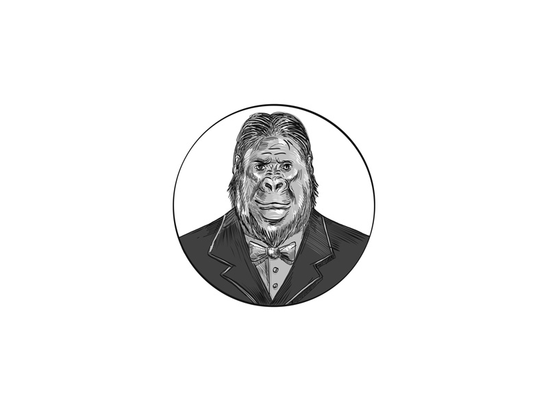 800x600 Gorilla Wearing Tuxedo Drawing - Business Suit Drawing
