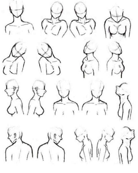 480x600 more bust shot reference poses drawing reference - Bust Drawing