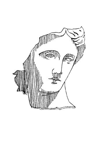 377x550 roman bust i posters - Bust Drawing