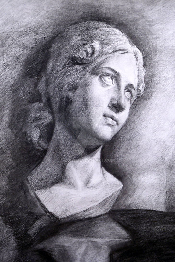 Bust Drawing at Explore collection of Bust Drawing