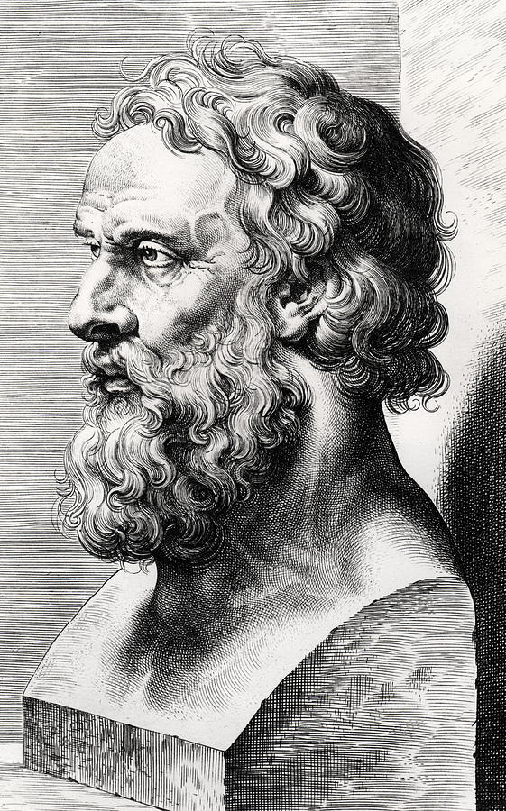 561x900 bust of plato drawing - Bust Drawing