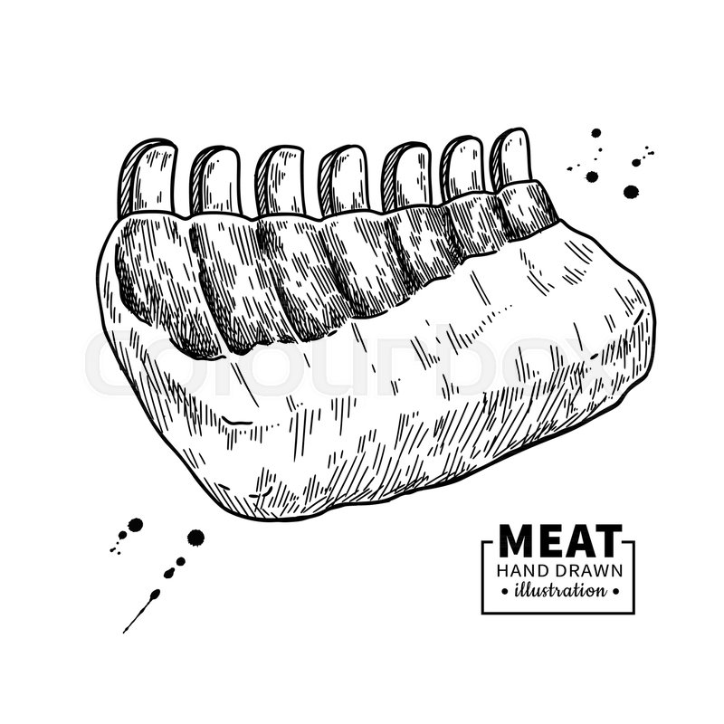 800x800 raw ribs vector drawing beef, pork or stock vector colourbox - Butcher Drawing