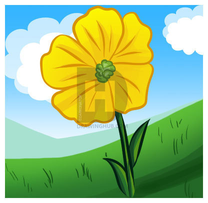 416x406 how to draw a buttercup, step - Buttercup Drawing