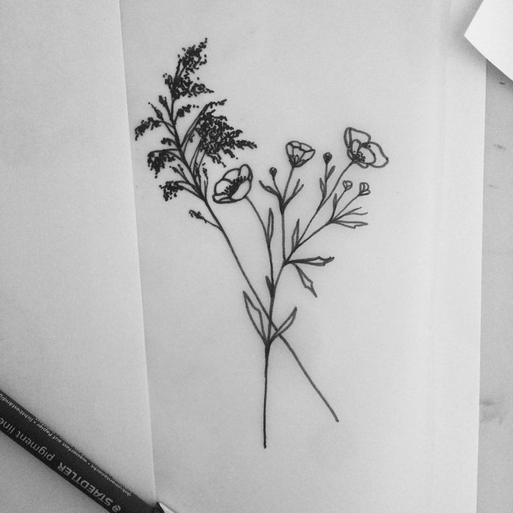 736x736 buttercup flower tattoo image group - Buttercup Flower Drawing
