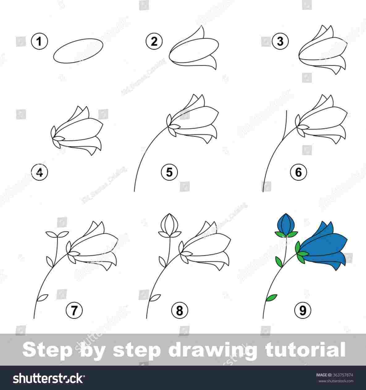 1185x1264 a buttercup flower step - Buttercup Flower Drawing