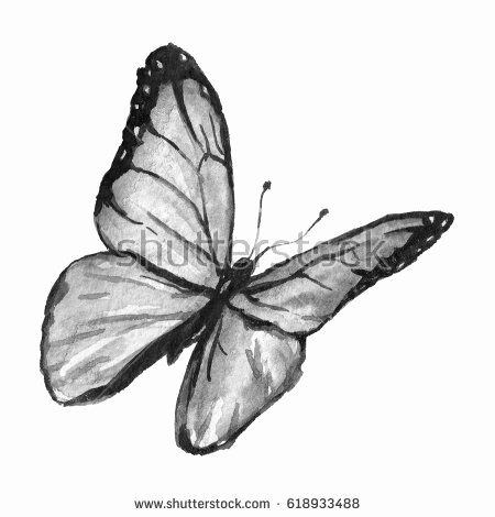 450x470 Butterfly Drawings Black And White Awesome Butterflies Drawing - Butterfly Black And White Drawing