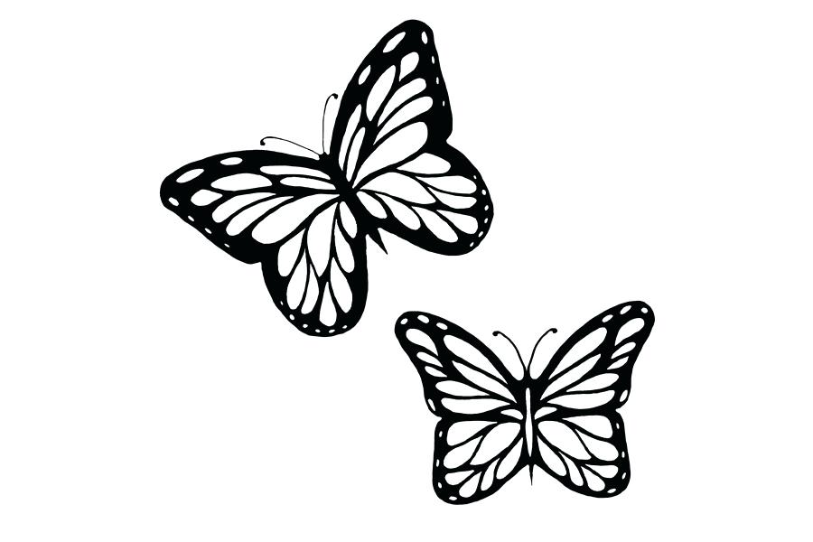 Butterfly Outline Clipart Monarch Butterfly Outline Drawing Clip - Butt...