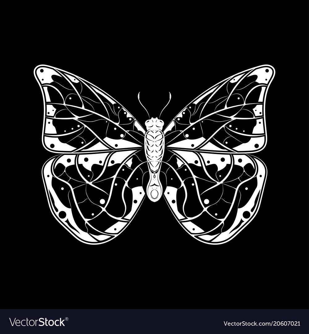 1000x1080 Collection Of 'butterfly Drawing Black And White' Download More - Butterfly Black And White Drawing