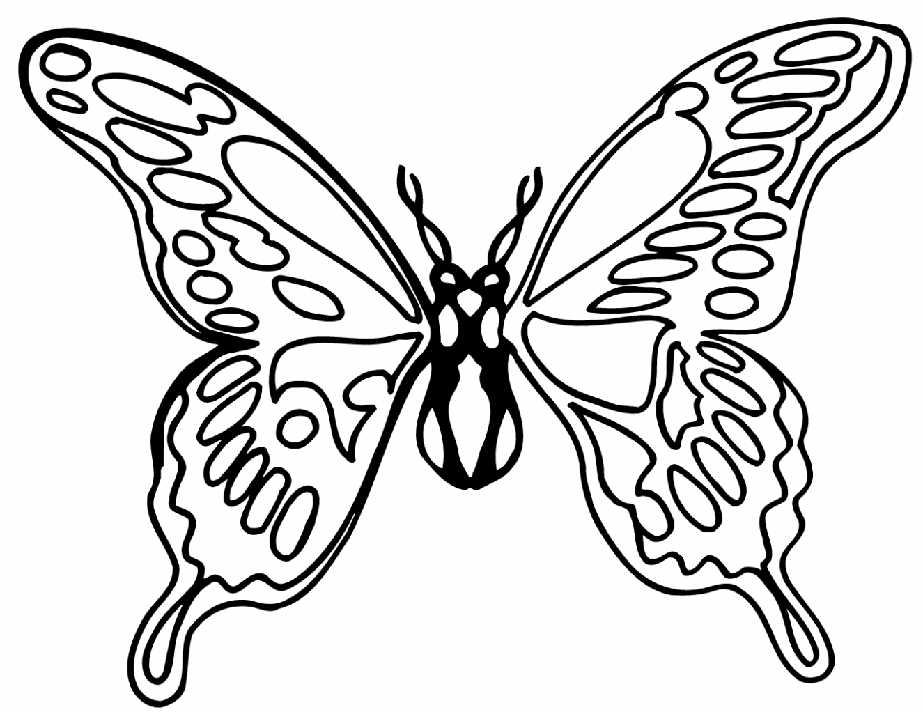 1325x1022 Butterflies And Flowers Drawing - Butterfly Black And White Drawing