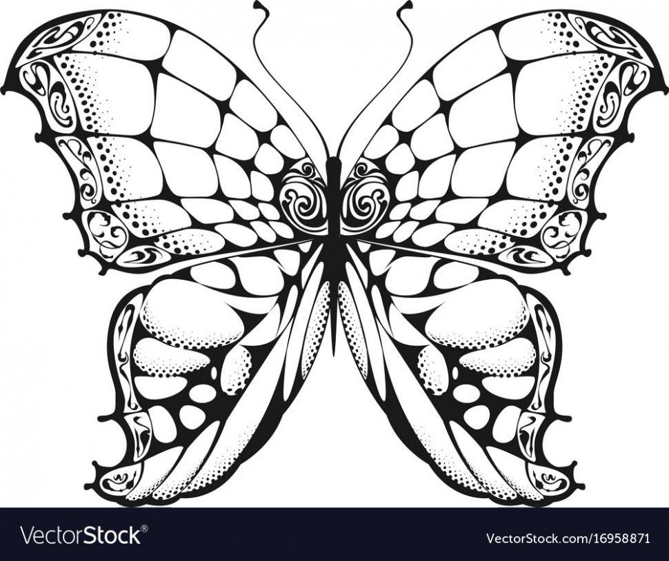 970x814 butterfly clipart free black and white alternative clipart design - Butterfly Black And White Drawing
