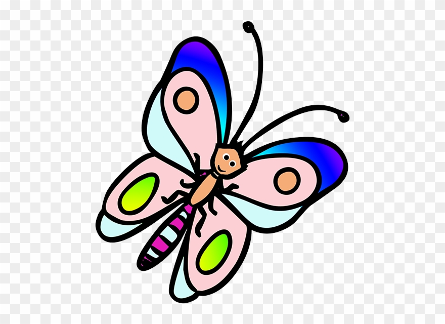 880x640 Funny Flying Butterfly Cartoon Drawing - Butterfly Cartoon Drawing