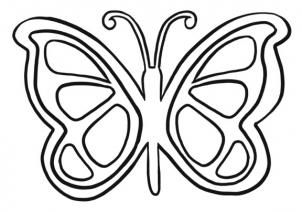 302x212 How To Draw A Simple Butterfly, Step - Butterfly Cartoon Drawing