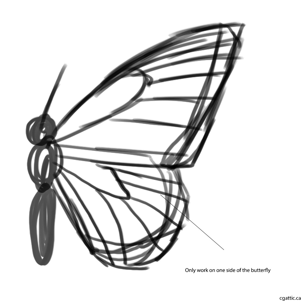 1000x1000 Butterfly Cartoon Drawing In Steps With Photoshop - Butterfly Cartoon Drawing