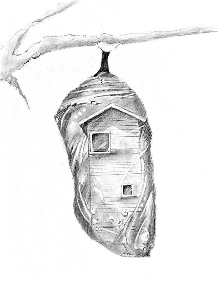 Butterfly Cocoon Drawing at Explore collection of