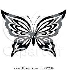 Butterfly Design Drawing At Paintingvalley Com Explore