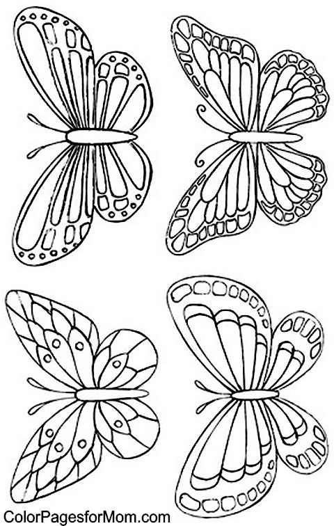 480x756 Color Pages For Mom Butterfly Coloring - Butterfly Design Drawing