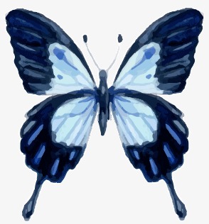 294x316 drawing butterfly design, insect, butterfly, watercolor png - Butterfly Design Drawing