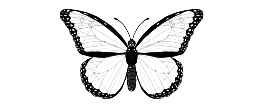 850x346 How To Draw A Butterfly Step - Butterfly Design Drawing