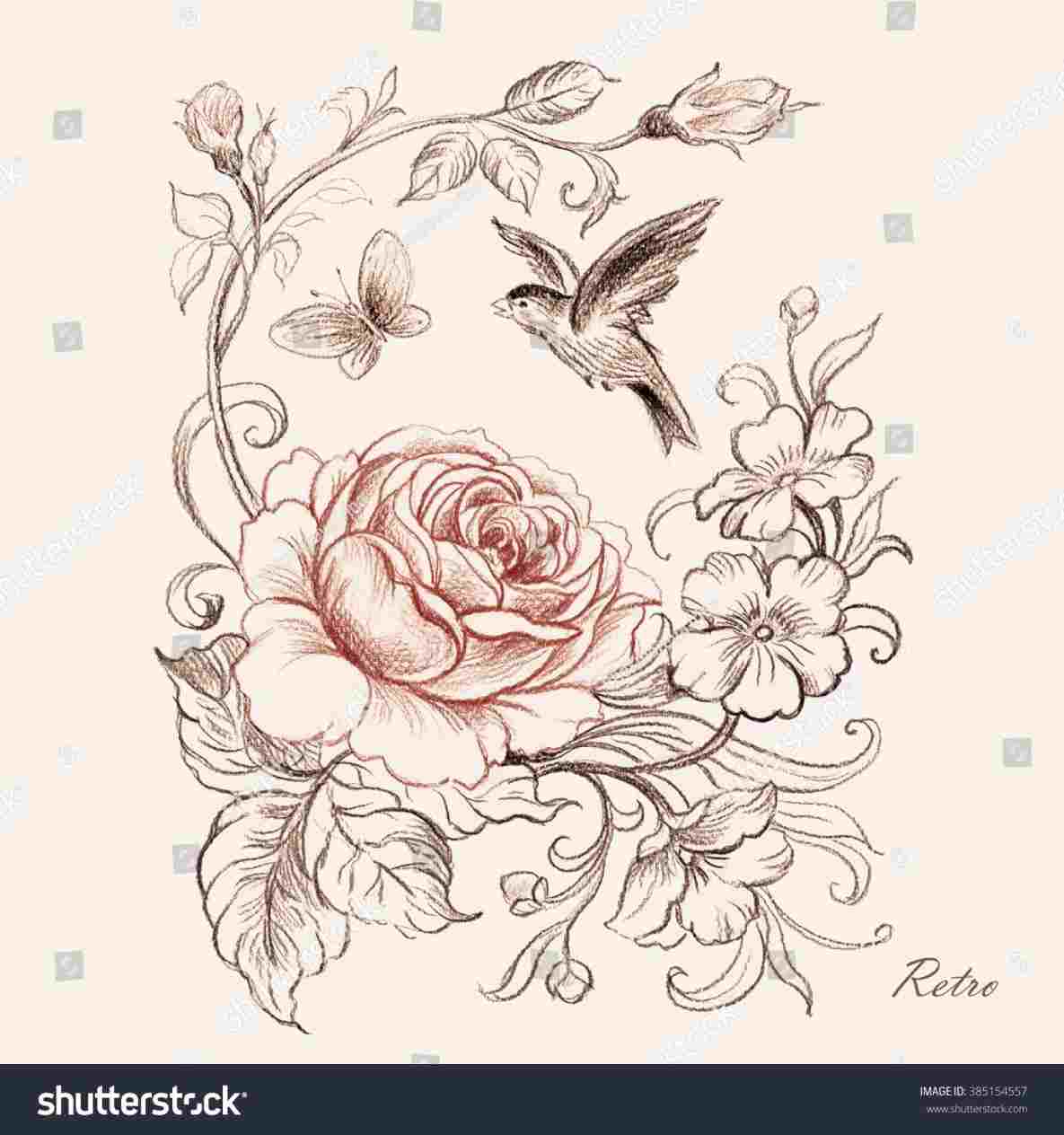 1185x1264 Pencil Drawings Of Flowers And Butterflies Design Of A Large - Butterfly Design Drawing