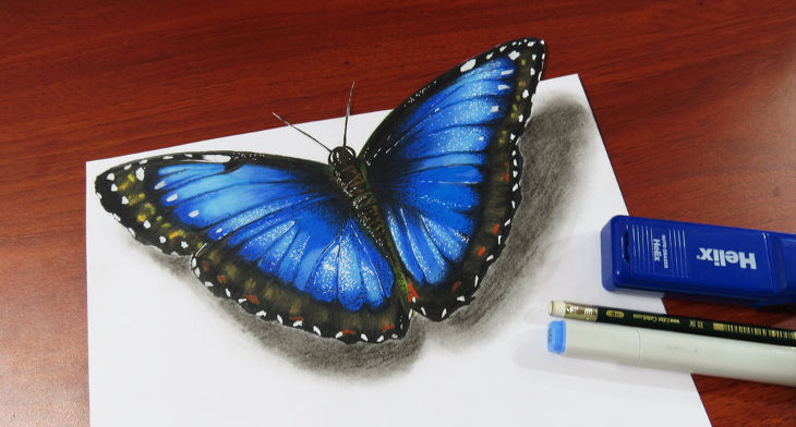 730x392 Butterfly Drawings, Art Ideas Design Trends - Butterfly Design Drawing