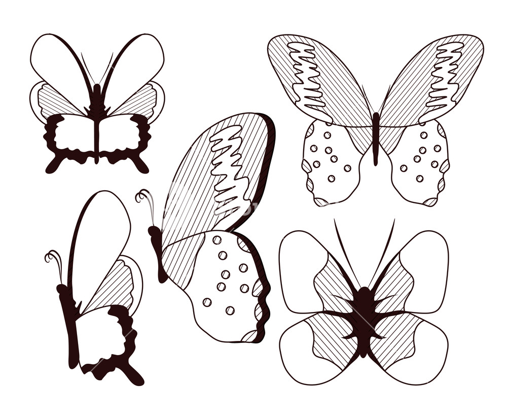 1000x822 Beautiful Butterflies Drawing Collection On Black And White Design - Butterfly Design Drawing