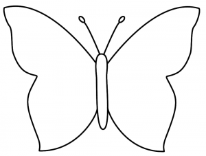 300x227 How To Draw Butterfly Step - Butterfly Drawing