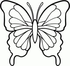 236x221 How To Draw A Butterfly On A Flower, Butterfly And Flower Step - Butterfly Drawing