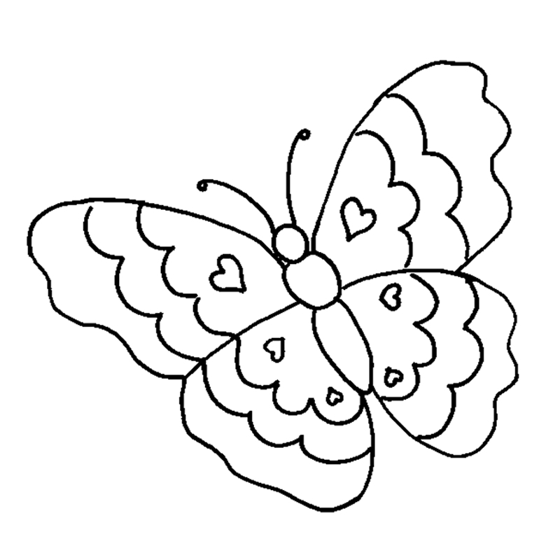 800x800 Butterflies - Butterfly Drawing
