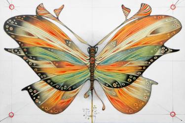 375x249 Butterfly Drawing - Butterfly Drawing