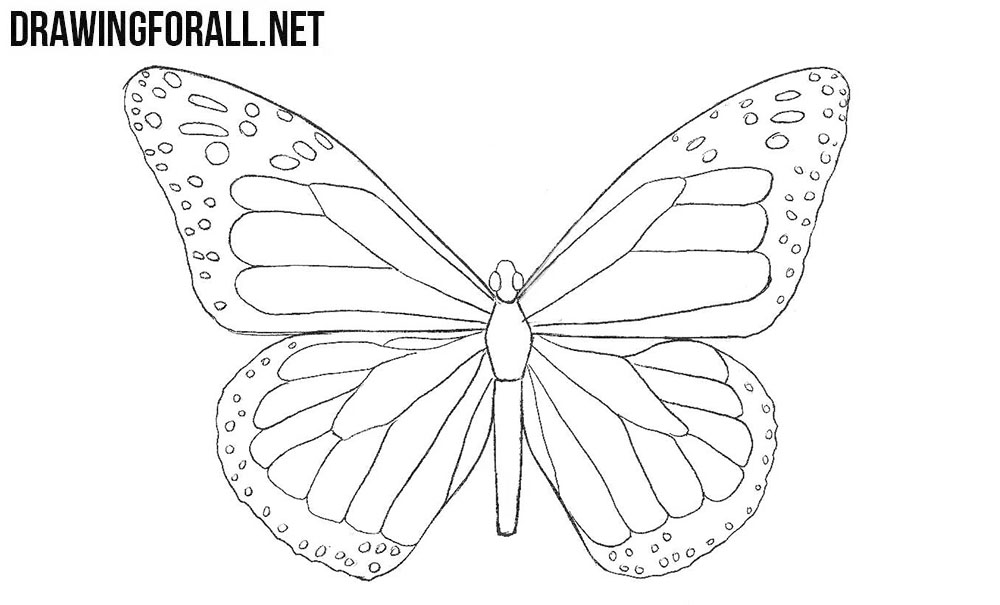 1000x605 Butterfly Drawing Free Download - Butterfly Drawing