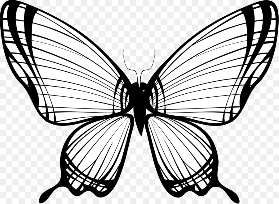 900x660 Butterfly, Drawing, Graphics, Transparent Png Image Clipart Free - Butterfly Drawing Black And White