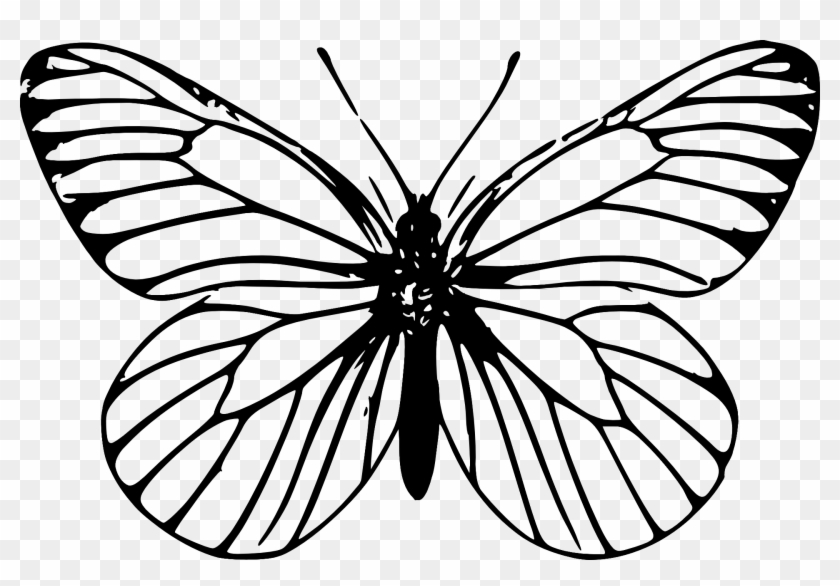 840x586 Butterfly Clipart For Kids Black And White - Butterfly Drawing Black And White