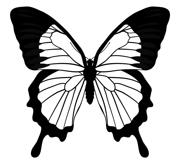 600x547 Butterfly Drawings Black And White Free Download Clip Art - Butterfly Drawing Black And White