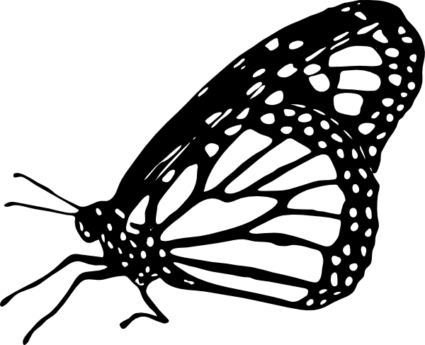 600x487 Butterfly Black And White Monarch Butterfly Clipart Images - Butterfly Drawing Black And White