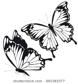 260x280 Collection Of 'butterfly Drawing Black And White' Download More - Butterfly Drawing Black And White