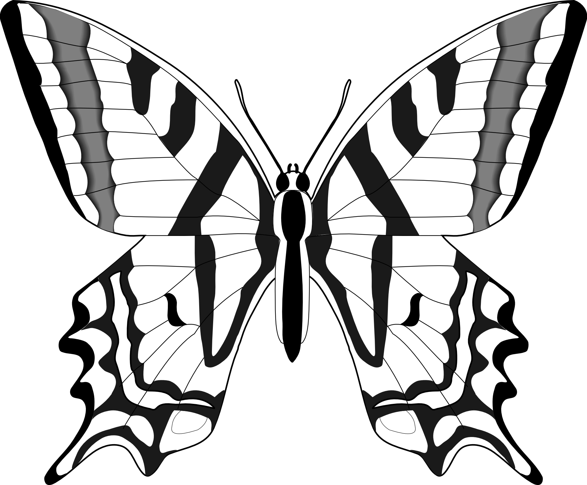 Drawing Insect Simple Transparent Png Clipart Free Download - Butterfly Dra...