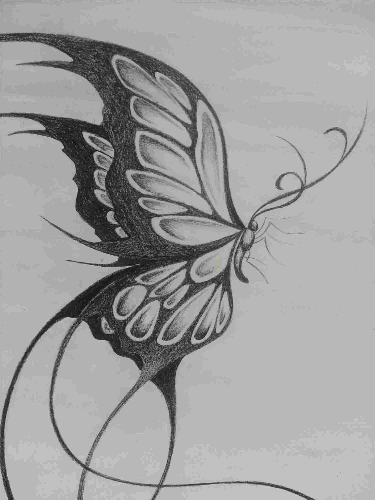1500x2001 Easy Butterfly Drawings In Black And White - Butterfly Drawing Black And White