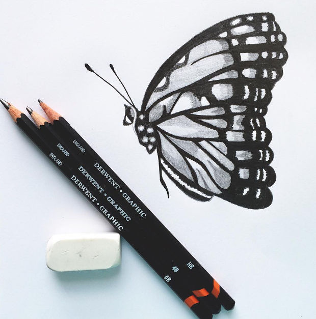 620x627 Butterfly Drawings, Art Ideas Design Trends - Butterfly Drawing Black And White